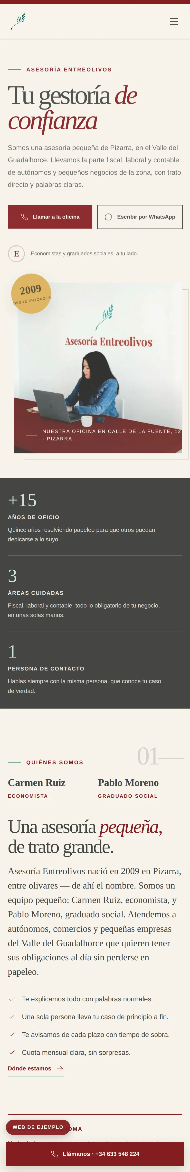 Modern proposal for the Asesoría Entreolivos website
